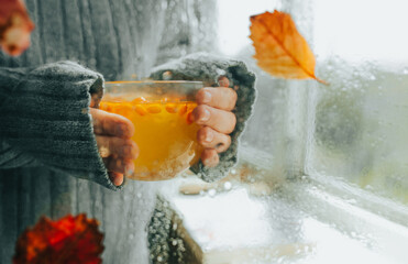 hands in warm gray sweater hold Cup of hot sea buckthorn healthy tea with berries through wet rainy...