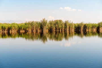 The view of a wetland reeds. Sultan sazligi in Kayseri