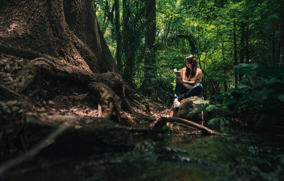 Rest and reading in the forest