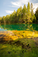 Vivid colors spring water of Kitch-iti-kipi, the Big Spring at Palms Book State Park in Michigan upper peninsula