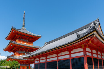 Obraz premium 清水寺
