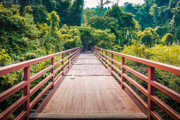 Fototapeta premium Beautiful old wooden bridge in the green forest, Khao Yai National Park, Thailand. Scenery road to Haew Narok Waterfall in the jungle abundant during the summer.