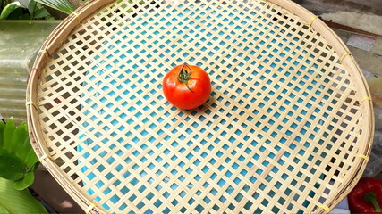 tomato in a garden