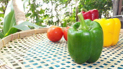 vegetables in the garden