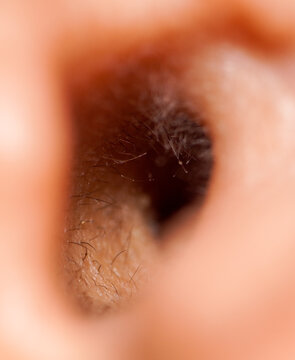 Macro Photo Of Inner Part Of Human Ear Canal, Extreme Close Up Photo Of Inside Of Human Ear