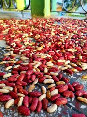 red and white kidney  beans 
