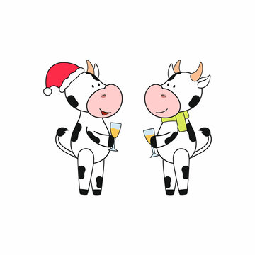 Two cute bulls in Santa Claus hat and with champagne celebrate the New year and have fun. Symbol of the year 2021 according to the Chinese calendar. Vector sticker for greeting cards, greetings, apps