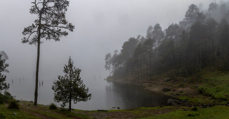 fog on fall morning in mexican forest beside Iturbide lake