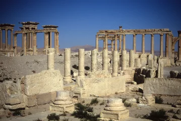 Deurstickers Agora peristyle ruins  of Palmyra © cascoly2