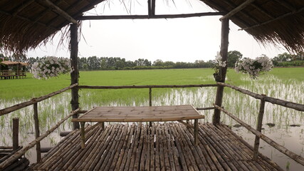 wooden bridge in the rice fields.
