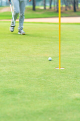 Obraz premium Golfer preparing for a putt Golf ball on the green during golfcourse.