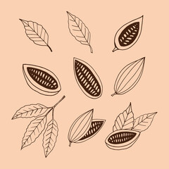 Fototapeta premium cocoa beans with leaves hand drawn vector set doodle. collection for design icon, poster, label, menu, card, sticker. food, plant, brown, craft paper background, vintage