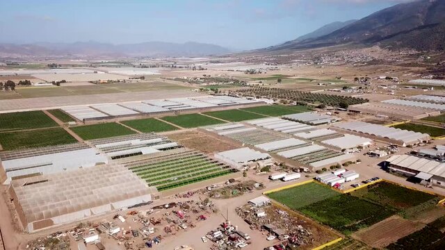 greenhouse field of baja california, Ensenada
