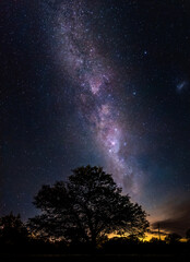 Fototapeta na wymiar Amazing night scene of the milky way falling toward a silhouette of leafy tree with millions of stars as sand in the sky