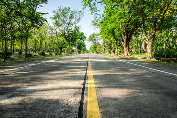 Empty asphalt road through the green field and tree on the forest in summer day. Highway in rural scenes use land transport and traveling background. Trip and journey perspective concept.