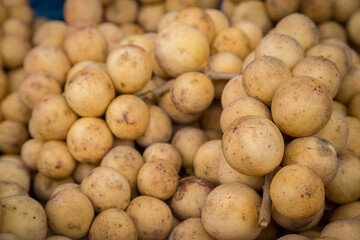 Longkong Thai fruit is on the market.