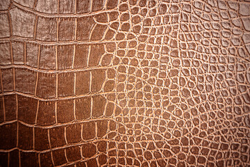 Crocodile leather pattern