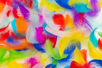 Fototapeta na wymiar Many colorful feather texture