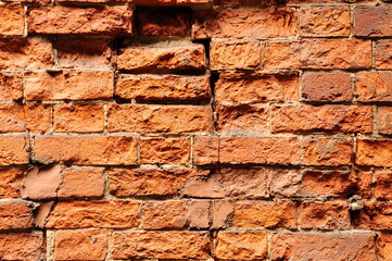 Fragment of a red brick wall