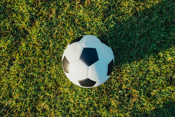 Above view of classic leather soccer ball on green grass field in the arena stadium. Traditional...