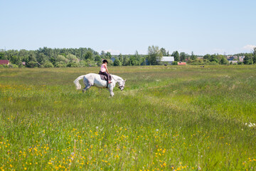 Little girl on a white horse ride a meadow