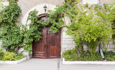 Old house wall with wooden door and green vine