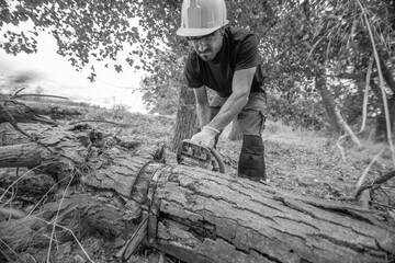 lumberjack with chainsaw in forest