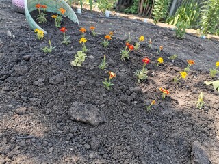 Опять цветы скажите вы а я скажу делайте красоту в