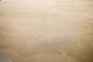 Sand texture. Sandy beach in the summer for background. Top view