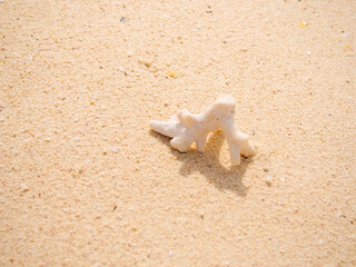 沖縄県 離島 久米島 はての浜の風景写真