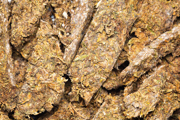 Macro Moldy Cannabis. Dried marijuana sticks in gold foil