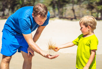 Father son walk on sun sea beach near forest park, study parts of plants on sand. Happy childhood....