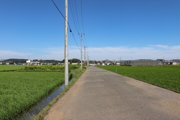 Fototapeta na wymiar 舗装された農道（神奈川県座間市）