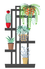House plants illustration