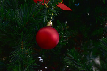 Closeup of Christmas Ball on Christmas Tree with bokeh beautiful background for design and decoration, new year concept, selective focus.