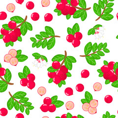 Vector cartoon seamless pattern with lingonberry exotic fruits, flowers and leafs on white background