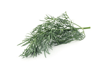 Fresh green dill isolated on white background