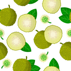 Vector cartoon seamless pattern with Maclura pomifer or Monkey bread exotic fruits, flowers and leaf on white background