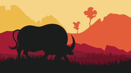 Sunset landscape and bull silhouette