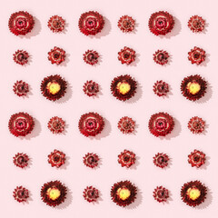 Beautiful dried red flowers, small blossoms on soft pink. Natural flowery pattern, romance holiday concept.