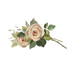 Hand drawn flowers. Bouquet of roses isolated on white