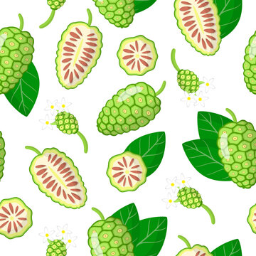Vector cartoon seamless pattern with Morinda citrifolia or noni exotic fruits, flowers and leafs on white background