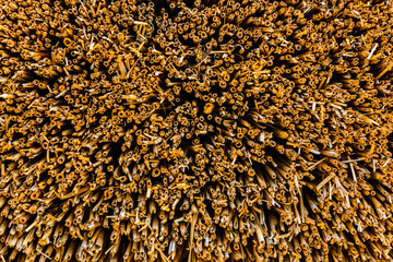 Texture of thatch roof for the background