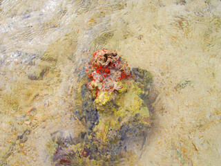 沖縄　久米島の風景　シンリ浜