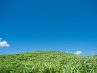 Fototapeta premium 秋吉台のカルスト台地