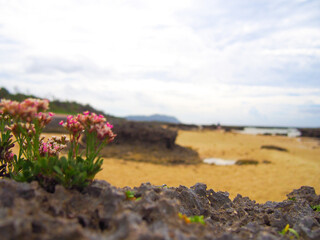 沖縄　久米島の風景　シンリ浜