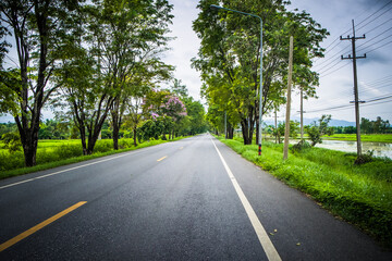 Fototapeta premium Empty asphalt road through the green field and tree on the forest in summer day. Highway in rural scenes use land transport and traveling background. Trip and journey perspective concept.