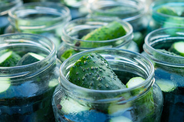 conservation, salting process cucumbers for the winter, jars with gherkins close-up