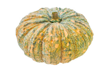Pumpkin isolated on white background.