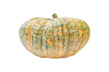 Fresh pumpkin isolated on white background.